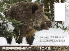 Žvýkačky pro myslivce s motivem divočák - v blistru