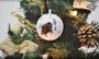 Myslivecké vánoční ozdoby - koule Divočák
